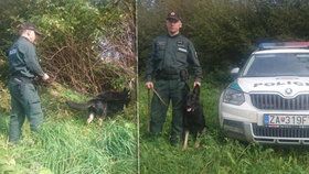 Policejní pes zachránil ženu.
