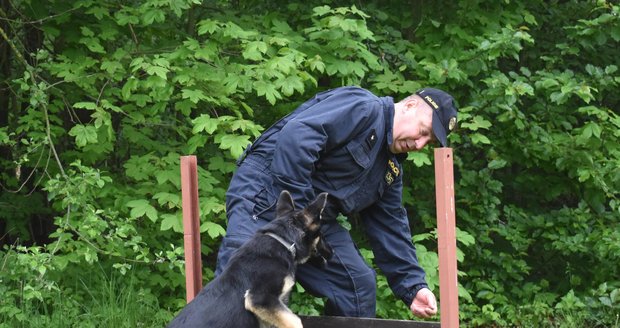 Policejní štěně Bred cvičí formou hry se svým psovodem Jaroslavem Komárkem.