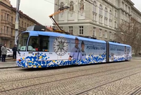 Brno brázdí policejní tramvaj: Muži zákona hledají nové kolegy, mají 200 volných míst