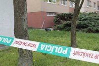 Hrůza na Slovensku: Mrtvou Moniku († 37) našli polosvlečenou na dvoře kulturního domu!
