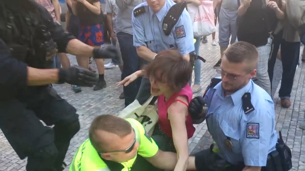 Podle nejvyššího státního zástupce Pavla Zemana není pochyb o tom, že se aktivistka Kateřina Krejčová dopustila násilí proti úřední osobě.