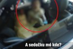 Policisté v Brně zůstali v šoku, když zjistili, jak někteří lidé převážejí v autě malé děti.