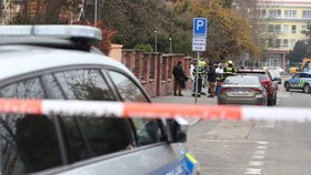 Zasahovat po Brnu museli policisté i v Praze na velvyslanectví Ukrajiny. I tam totiž pišel podezřelý balíček, který obsahoval zvířecí tkáň. (2. prosinec 2022)