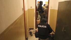 Slovenská policie zatýkala kvůli devět let staré vraždě politika. Měla ve zločinu prsty Alena Zs.?