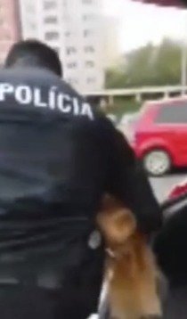 Brutální policejní zákrok proti drobné ženě na Slovensku