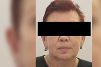 Policisté hledali Marii (60), která hrozila sebevraždou: Sama se vrátila domů