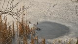 Opilé dítě tahali z potoka strážníci! Rybáře, se kterým se prolomil led, už nezachránili