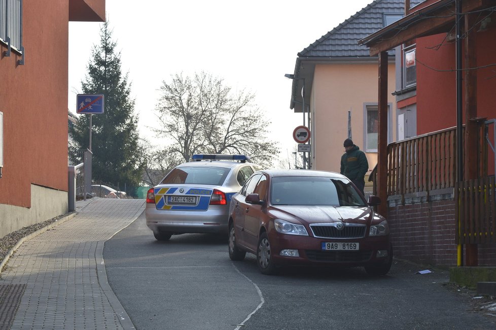 Policisté brzy ráno zasahovali v Čimicích, z domu tu měl přes rybník utéct cizinec.