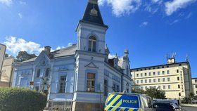 Karlovarská policie vyšetřuje střelbu v Dalovicích.