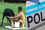 Nahý muž onanoval na veřejnosti či se procházel se svým psem úplně nahý. Policie ho nyní konečně dopadla. (ilustrační foto)