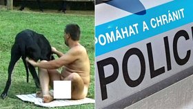 Nahý muž onanoval na veřejnosti či se procházel se svým psem úplně nahý. Policie ho nyní konečně dopadla. (ilustrační foto)