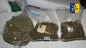 Kriminalisté na Zlínsku dopadli cizince, kteří pašovali do Česka marihuanu.