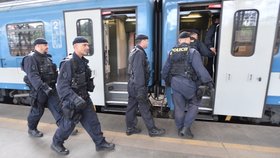 Policie při jedné z předchozích kontrol na hlavním nádraží v Praze