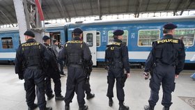 Policie při jedné z předchozích kontrol na hlavním nádraží v Praze. (ilustrační foto)