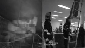 Drama v hradecké nemocnici: Zfetovaný muž napadal personál a vyšplhal do podhledu