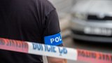 Holčičku (8) v Holešovicích na cestě do školy srazilo auto! S úrazem hlavy skončila v nemocnici