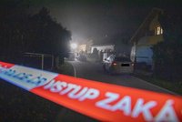 Šílený útok na Mladoboleslavsku: Muž (28) vnikl do domu a napadl pár mačetou!