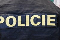 Muž se chladnokrevně přiznal k vraždě na Štědrý den: Už míří za mříže!