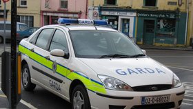 Irská policie