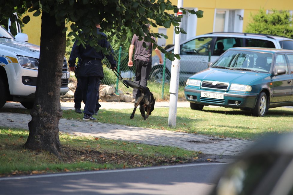 Policie pátrá v  okolí bydliště 7 let pohřešované Jany Paurové.