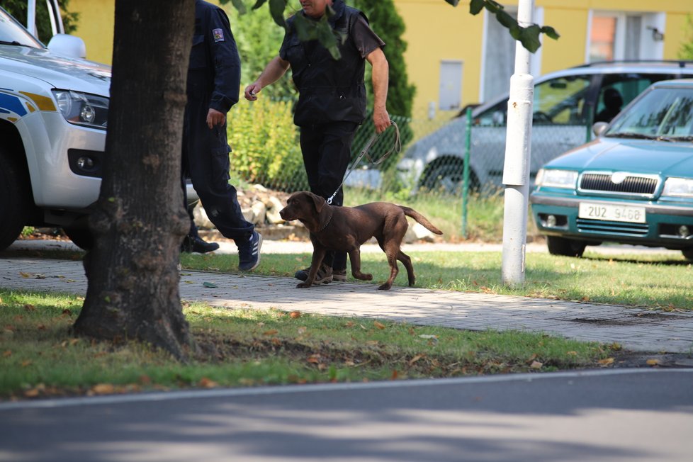 Policie pátrá v bydlišti pohřešované Jany Paurové.