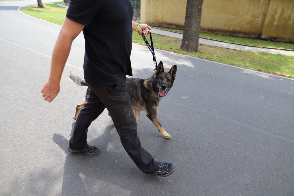 Policie pátrá v bydlišti pohřešované Jany Paurové.