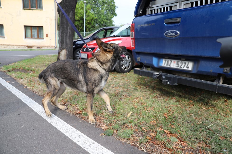 Policie pátrá v bydliště 7 let pohřešované Jany Paurové. Na místě pracuje i pes speciálně vycvičený na hledání mrtvol.