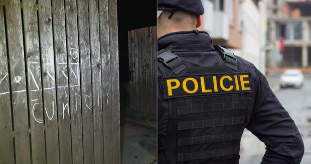 Žena (68) na Jičínsku malovala prasata policistům na vrata: Pokus o útěk se jí nepovedl.