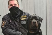 Výrobce drog se ukrýval na "kadibudce": Na policejního psa BigBoye ale nevyzrál