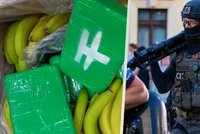 V Česku zadrželi druhou největší zásilku kokainu! Jaká byla největší? Drogy jsou nejčastěji schované mezi banány