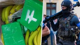 Druhá největší zásilka drog v ČR: Pašeráci je nejčastěji schovávají mezi banány! (Ilustrační foto)