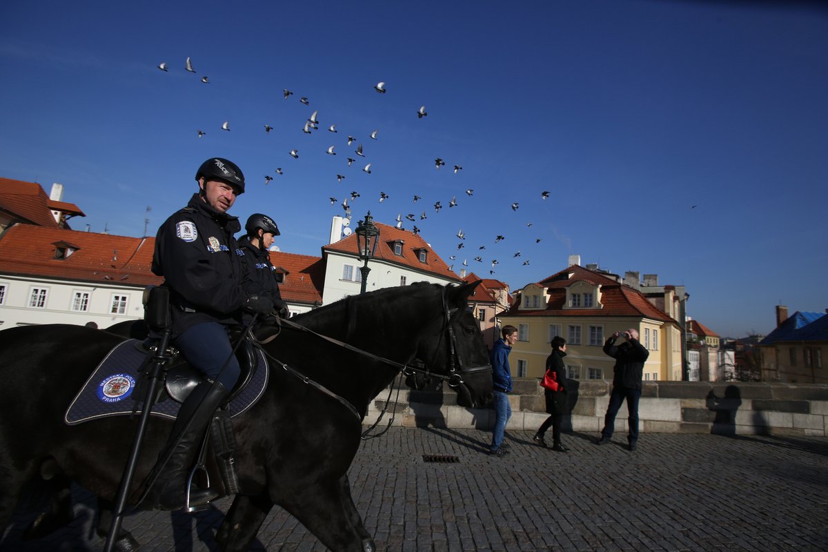 Jízdní policie je ve městech praktická hlavně v parcích a jinak hůře dostupných místech.