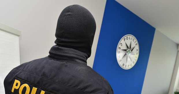 Brněnští policisté zadrželi nebezpečného pedofila (ilustrační foto)
