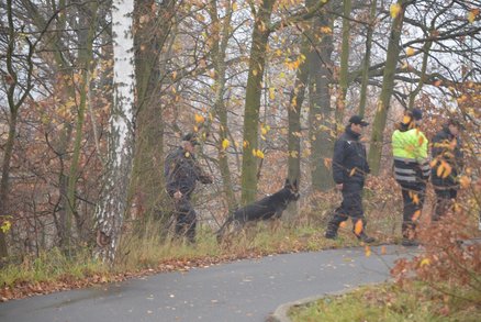 Policisté na Přerovsku pátrali po třech dětech: Ty si s nimi hrály na schovávanou