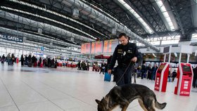 Letiště v Česku bude hlídat o více než 200 policistů více.