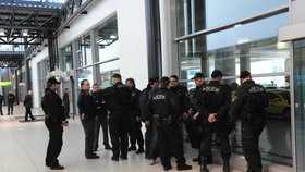 Na letišti v pražské Ruzyni musela zasahovat policie (ilustrační foto)