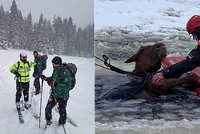 Na Lipně se ledem propadl kůň, vytáhli ho záchranáři! V Jeseníkách jeli k turistům pod sněhem