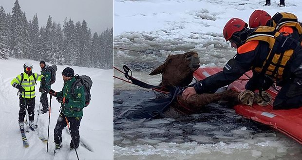 Na Lipně se ledem propadl kůň, vytáhli ho záchranáři! V Jeseníkách jeli k turistům pod sněhem