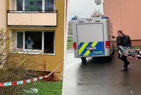 Záhadná smrt muže v Litoměřicích: Podle policie ho nikdo nezavraždil