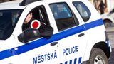 Příbuzní lektorky policejní školy: Zbili dvě strážnice!