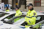 Brno chce nalákat nové strážníky i zvýšením jejich platů. (Ilustrační foto)