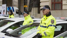 Profese, které se práci o svátcích nevyhnou: Policisté (ilustrační foto)