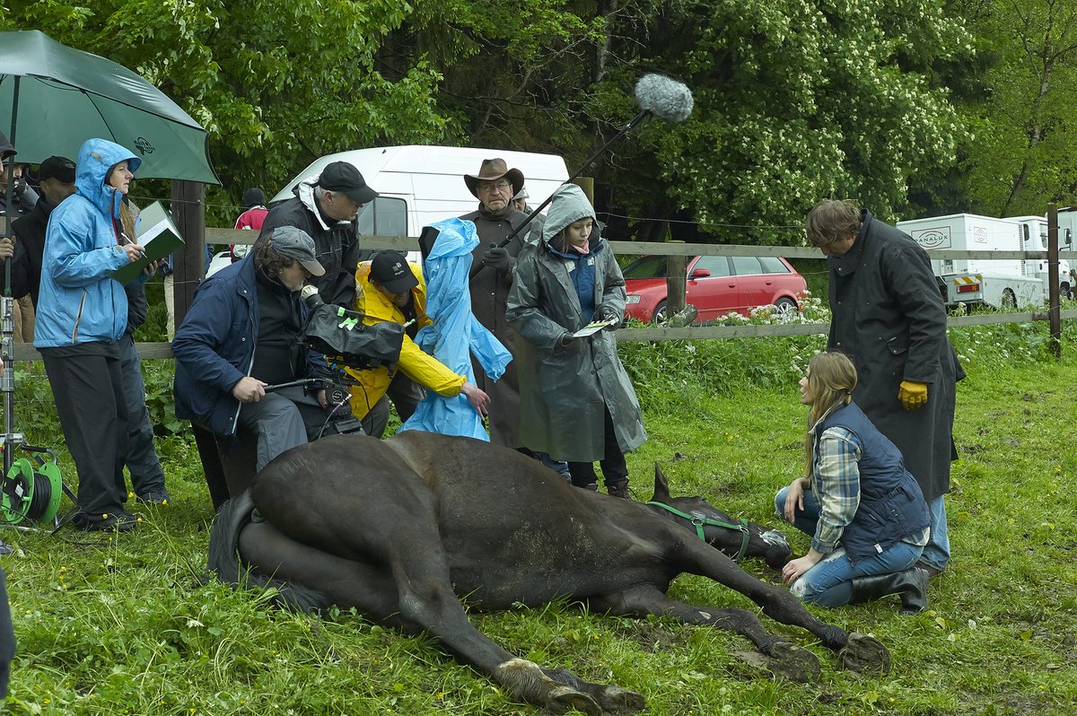 Probírající se kůň všechny vyděsil.