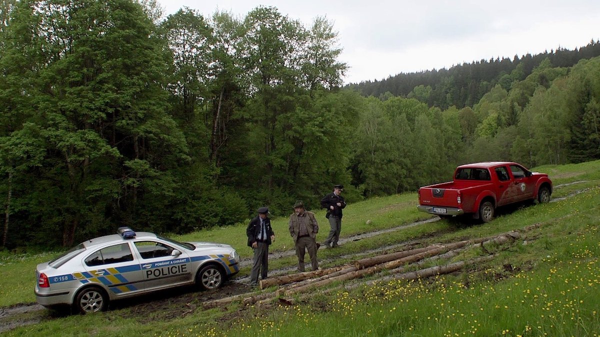 Kriminalistka Soňa Norisová vyšetřuje násilnou smrt. Popálená hruď svědčí o mučení oběti před smrtí.