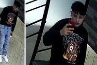 Po ráně pěstí měl mladík tmu: Policie hledá důležitého svědka