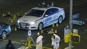 Černošský útočník chladnokrevně zastřelil dva policisty v hlídkovém voze v New Yorku a na sociálních sítích psal o zatřelení dvou „prasat“. Již dříve trestaný střelec poté zbraň obrátil proti sobě a spáchal sebevraždu.
