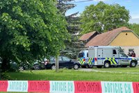 Dvojnásobný pokus o vraždu na Jičínsku: Muž pobodal manželku! Syn se ji snažil bránit
