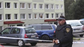 Policisté v pátek obklíčili část litvínovského sídliště. Opilá žena tam z panelového balkonu střílela pistolí.