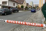 Při policejním zásahu zemřel v Plzni agresivní muž.