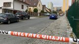 Zemřel při policejním zásahu! Agresor se v Plzni dobýval k příbuzným, pak zkolaboval 